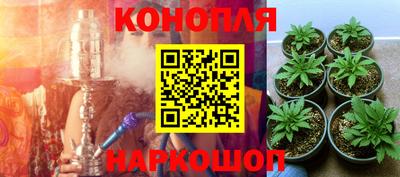 крисы Краснокаменск