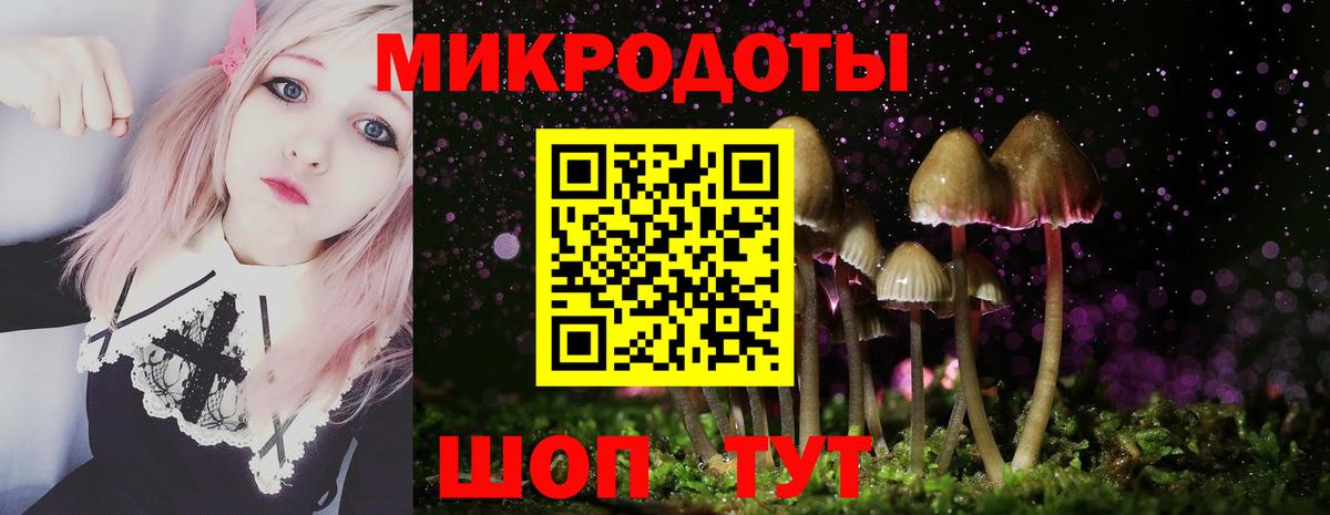 Кандалакша  Галлюциногенные грибы Magic Shrooms  наркота  Вход с VPN  Галлюциногенные грибы Psilocybe 