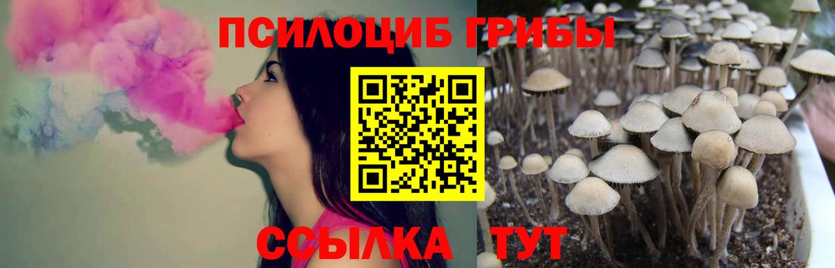 Галлюциногенные грибы мухоморы Кандалакша